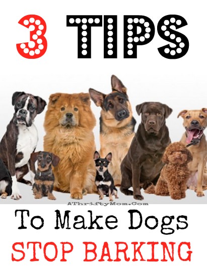 Want to know how to stop dogs from barking? Don't miss these 3 helpful tips.