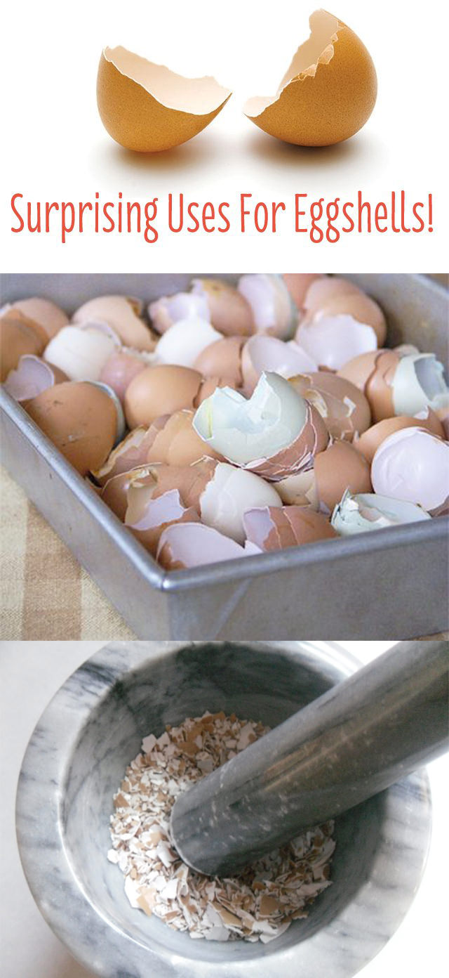 Eggshells can be useful too. Check out these surprising eggshell uses to make sure you make the best use of those shells that you throw away.
