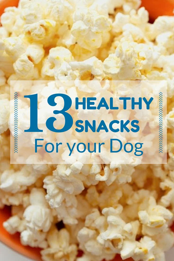 Give your dog the healthiest food stuff, not just the tastiest to keep it fit and with these 13 healthiest snacks for dogs you can do this easily.