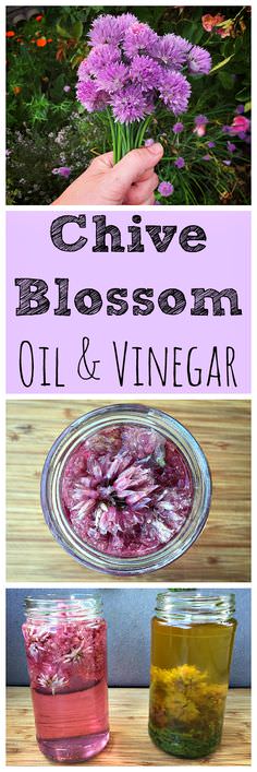 If you're growing chives and there are plenty of flowers blooming make this awesome chive blossom oil and vinegar. It is best for making salad dressings.