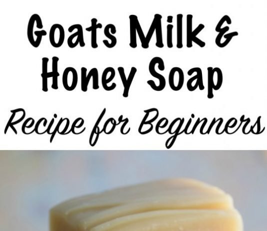 Goats Milk and Honey Soap Recipe for Beginners
